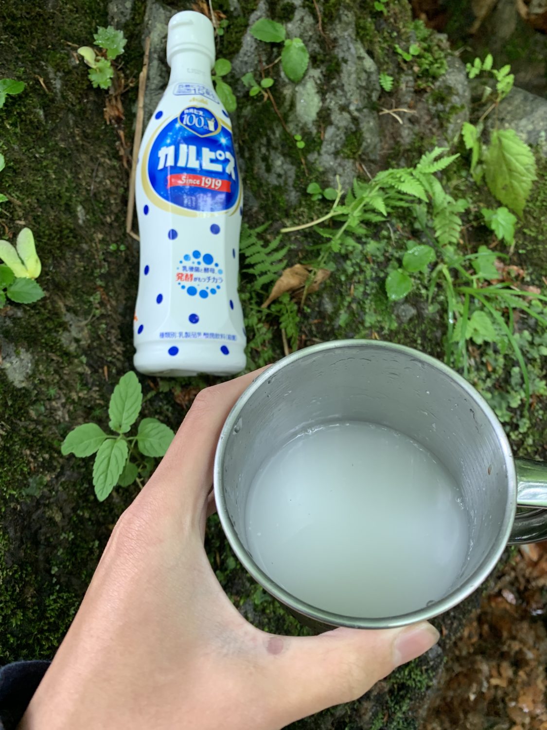 カルピスソーダで試飲!旨い!