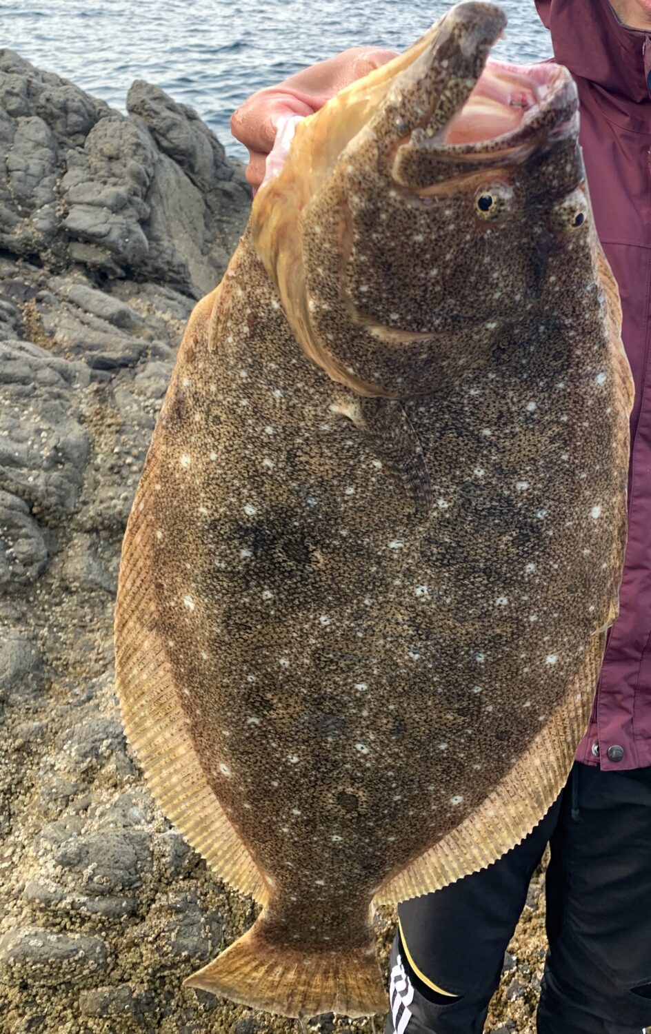 F006D6BD-5E3E-4C41-9F9B-