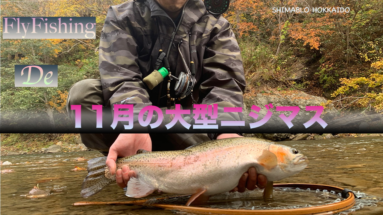 Flyfishig De 11月の大型ニジマスを釣る Shimablo