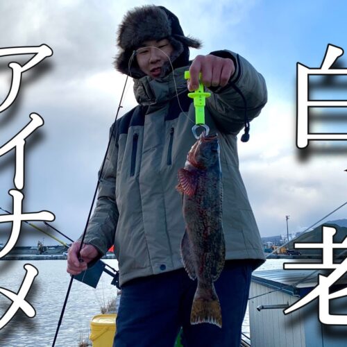 【穴釣り】北海道白老港でアイナメ（アブラコ）釣り!!