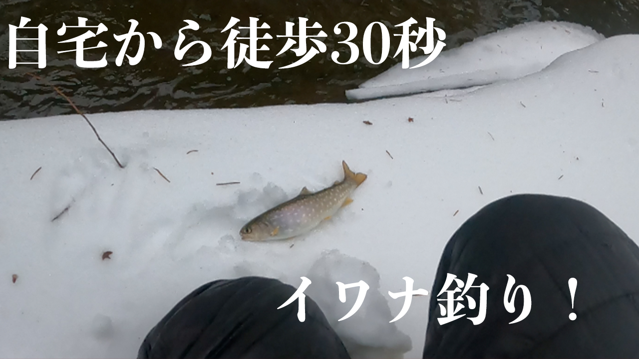 イワナ釣りが北海道の片田舎なら自宅から徒歩30秒で楽しめる楽園だった件 Shimablo